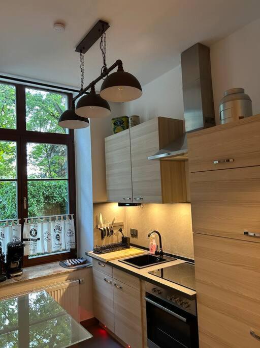 Ruhige Wohnung Im Fabrikstil In Chemnitz Exterior foto